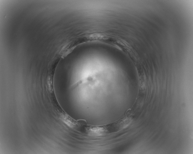 X0000063470669200601231446