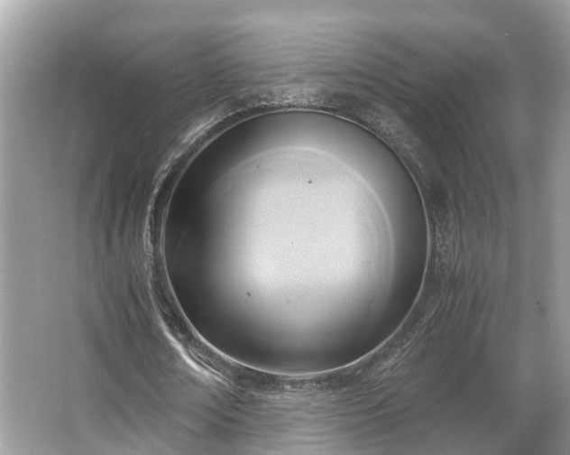 X0000063470674200601231445
