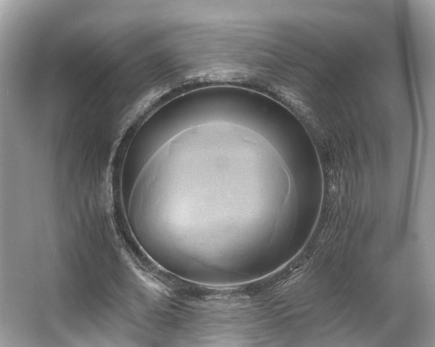 X0000063470678200601231445