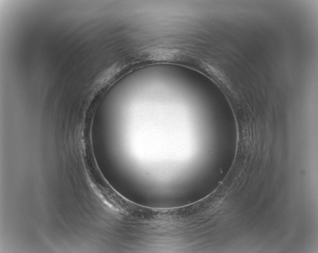 X0000063470682200601231445