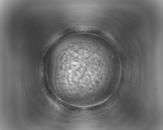 X0000063470683200601231445