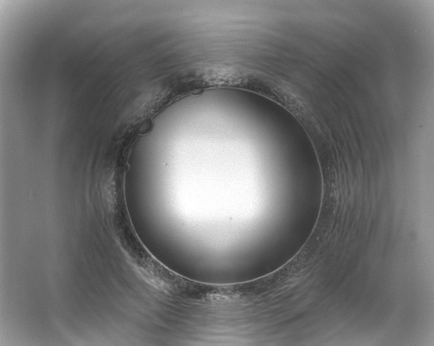 X0000063470690200601231445