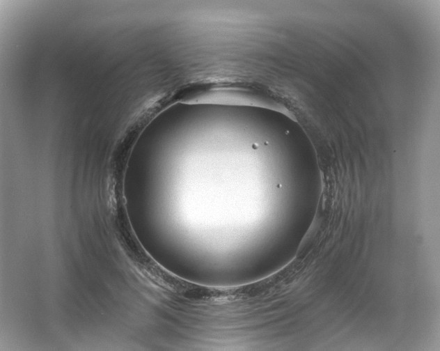 X0000063470692200601231445