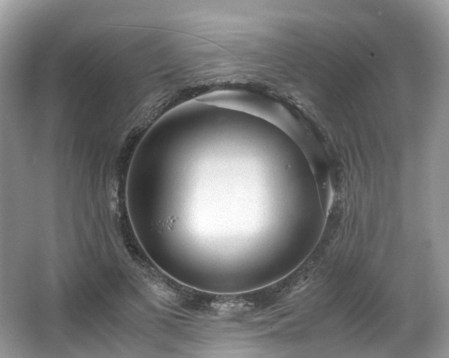 X0000063470693200601231445