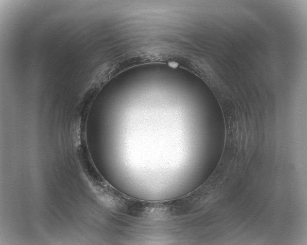 X0000063470694200601231445