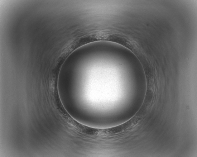 X0000063470697200601231445
