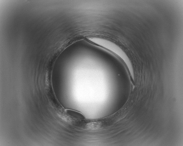 X0000063470700200601231445