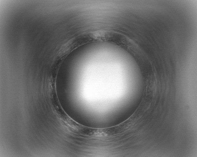 X0000063470702200601231445