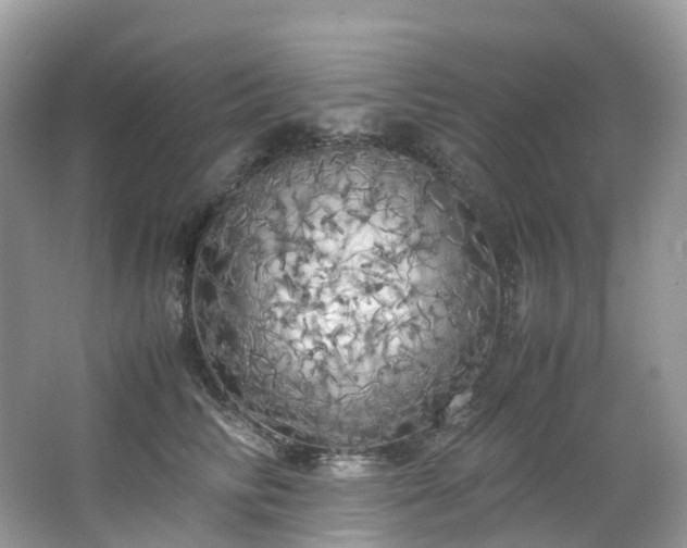 X0000063470710200601231444