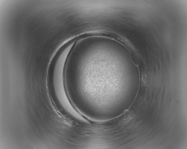 X0000063470724200601231443