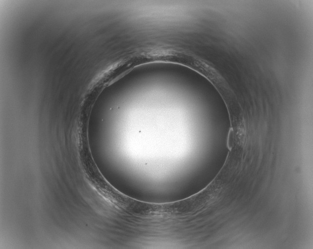 X0000063470732200601231444