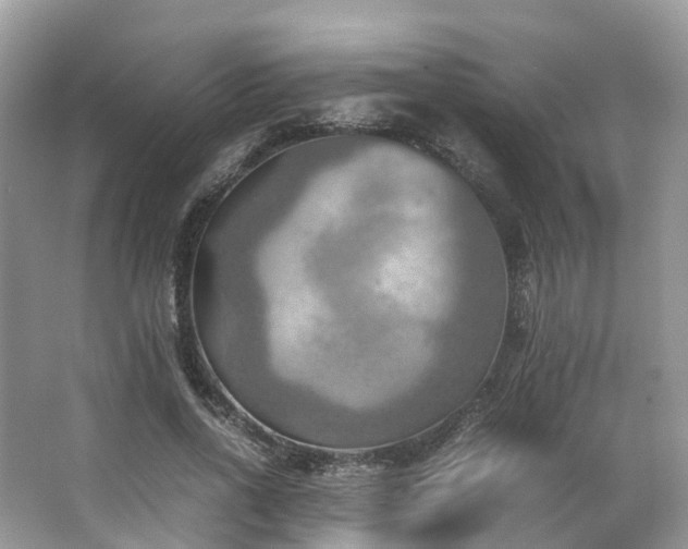 X0000063470734200601231444