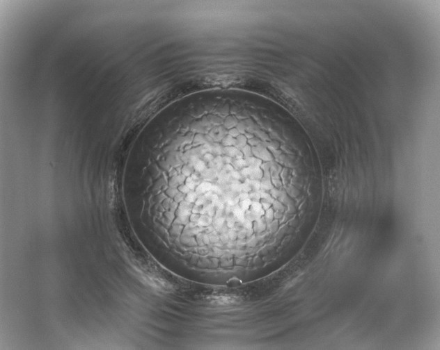 X0000063470741200601231444