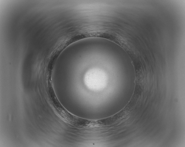 X0000063470742200601231444