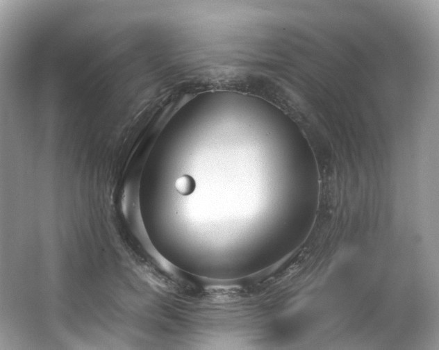 X0000063470750200601231444