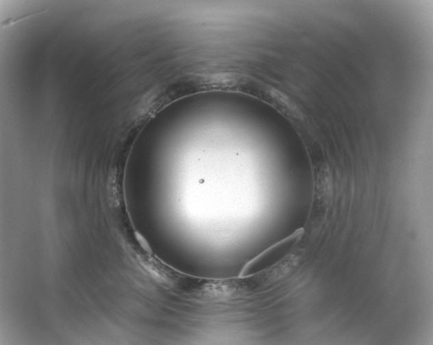 X0000063470764200601231444