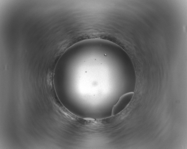 X0000063470768200601231444
