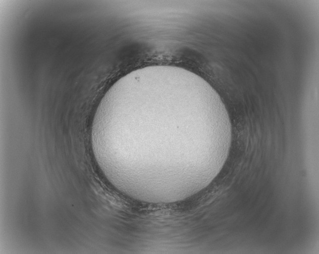 X0000063470769200601231443