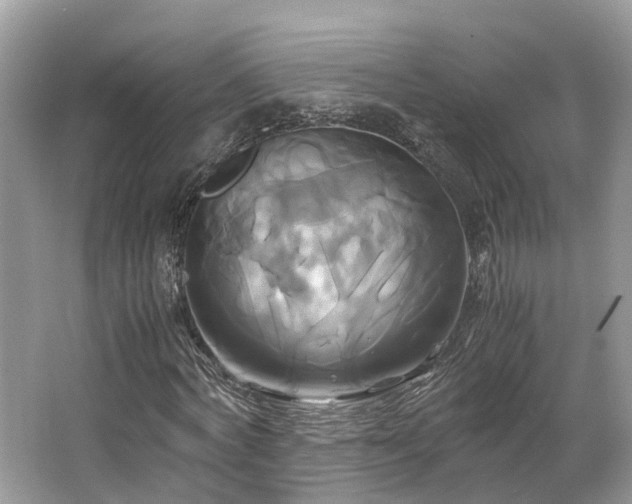 X0000063470772200601231443