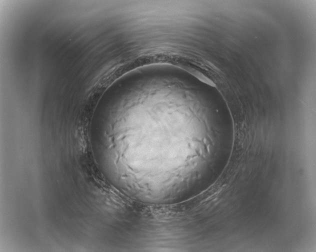 X0000063470774200601231443
