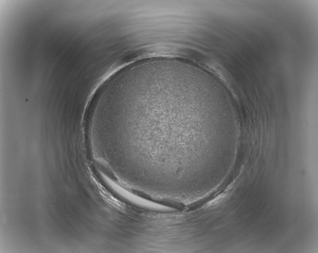 X0000063470779200601231443