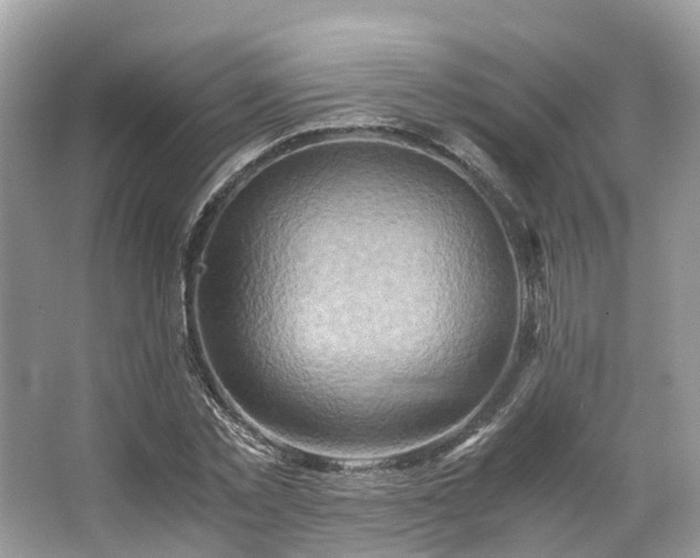X0000063470781200601231443