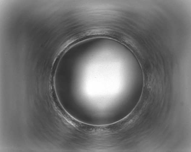 X0000063470786200601231443