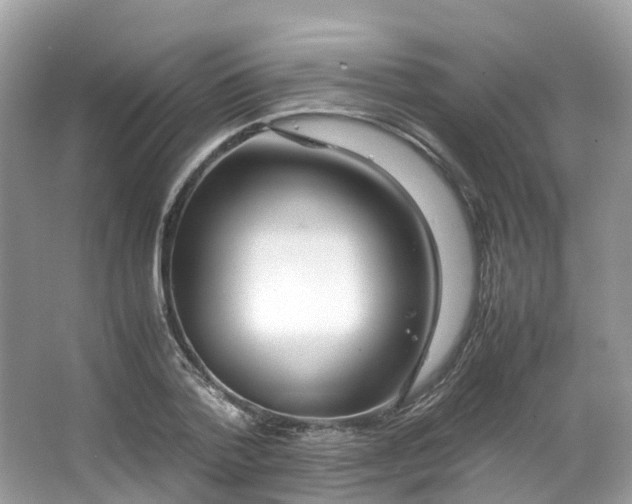 X0000063470788200601231443