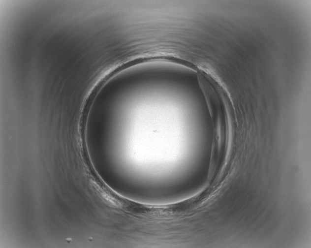 X0000063470789200601231443