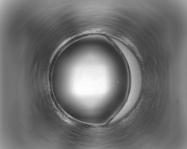 X0000063470792200601231443
