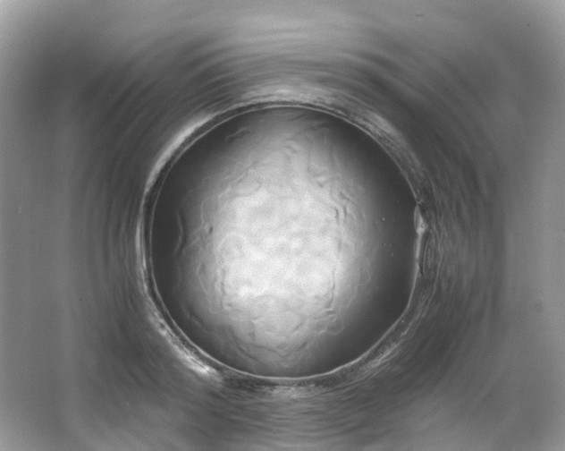 X0000063470796200601231443