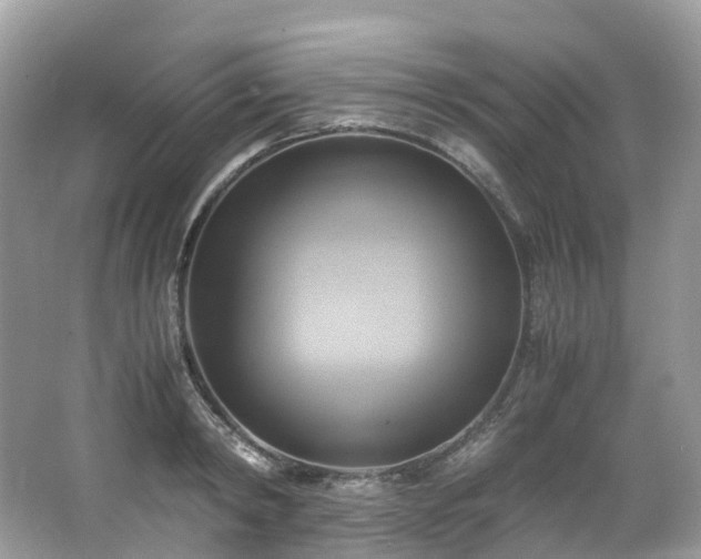 X0000063470798200601231443