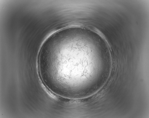 X0000063470811200601231443