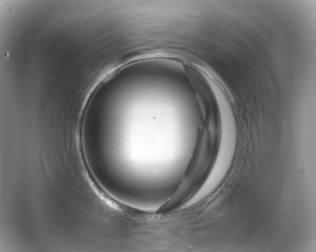 X0000063470813200601231443