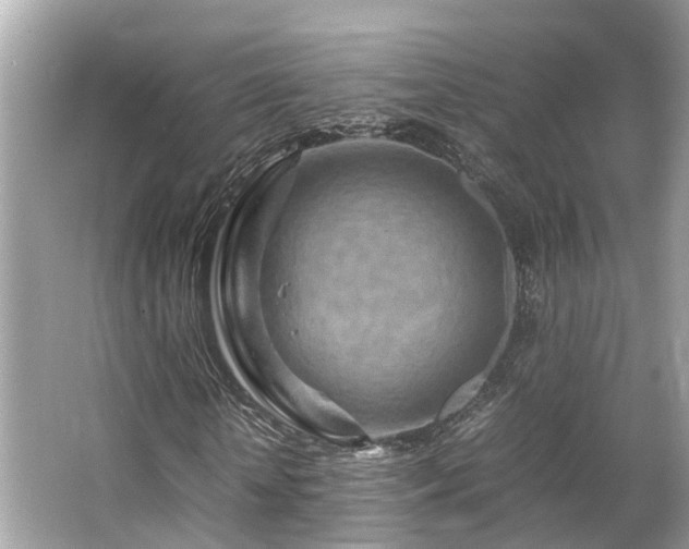 X0000063470818200601231442