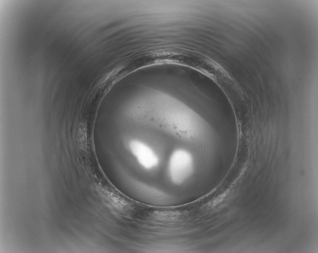 X0000063470825200601231442