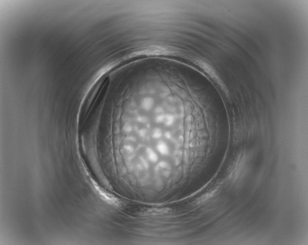 X0000063470845200601231442