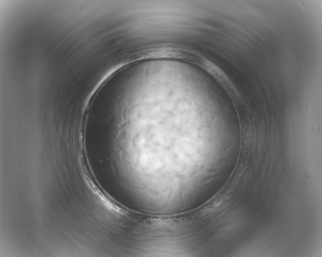 X0000063470852200601231442