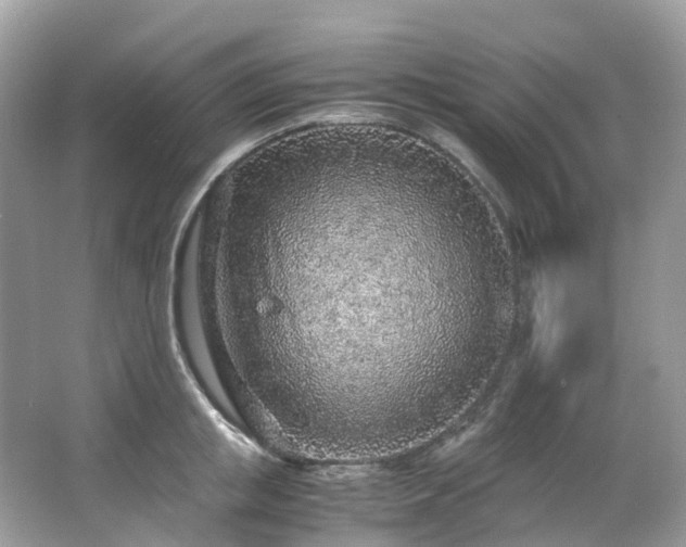 X0000063470853200601231442