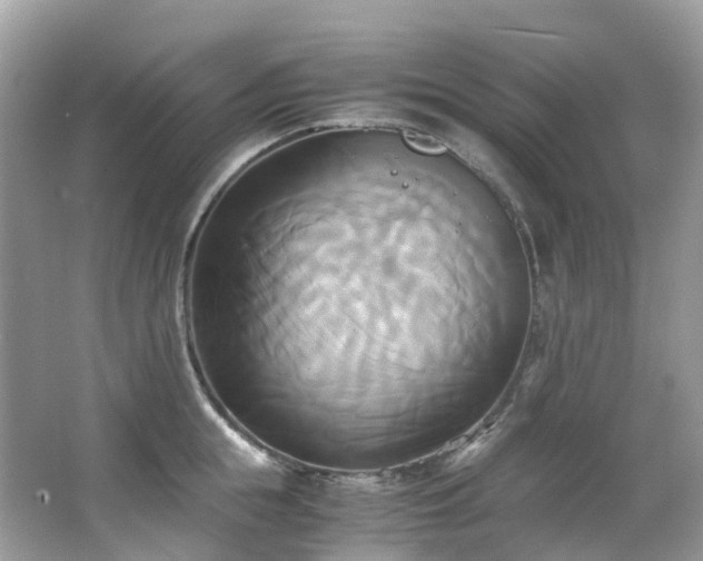 X0000063470855200601231442
