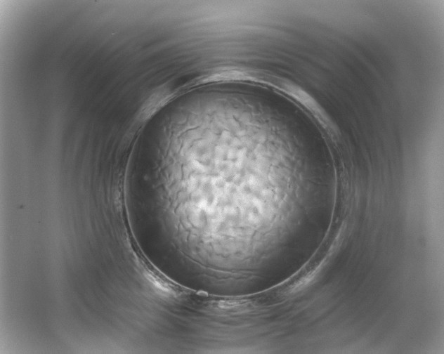 X0000063470857200601231442