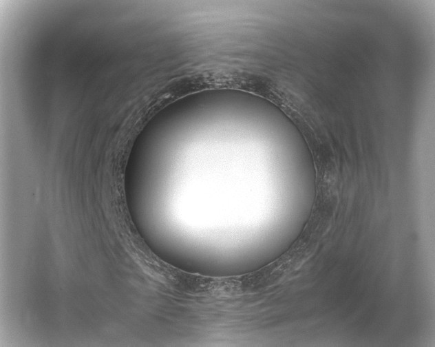 X0000063470865200601231442