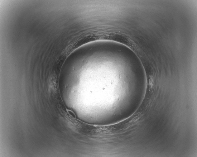 X0000063470867200601231442