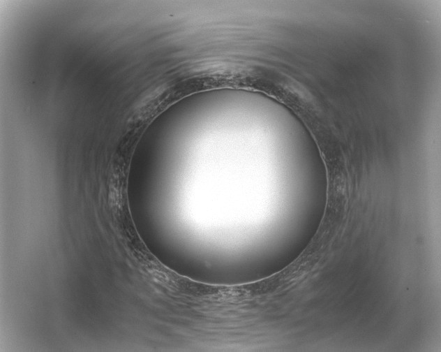 X0000063470869200601231442