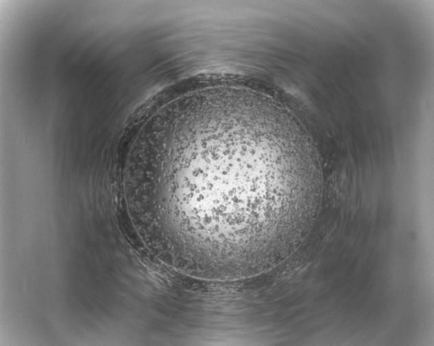X0000063470870200601231442