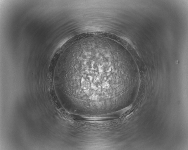X0000063470871200601231442