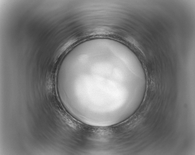 X0000063470874200601231442
