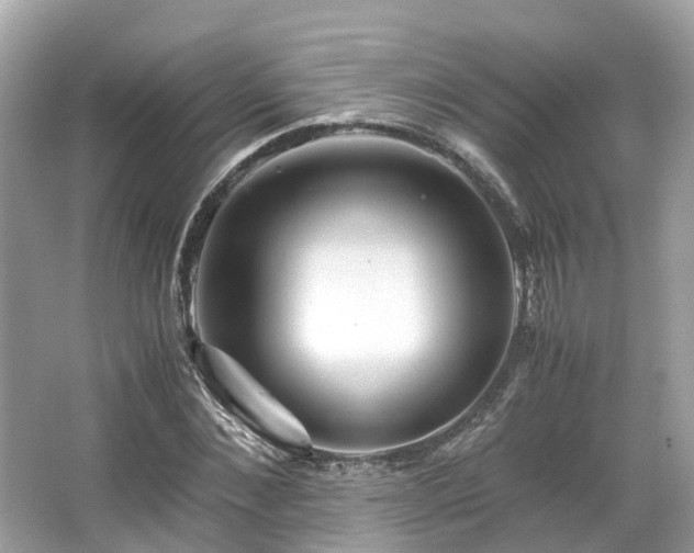 X0000063470876200601231442