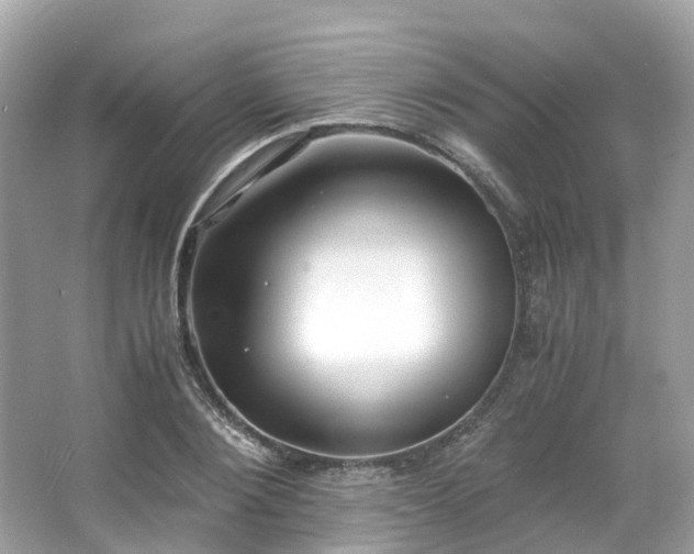 X0000063470884200601231441