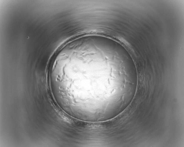 X0000063470886200601231441